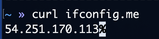 上網IP被擋怎麼辦?🛜教你十分鐘在伺服器上免費自架VPN Curl Ipconfig.me